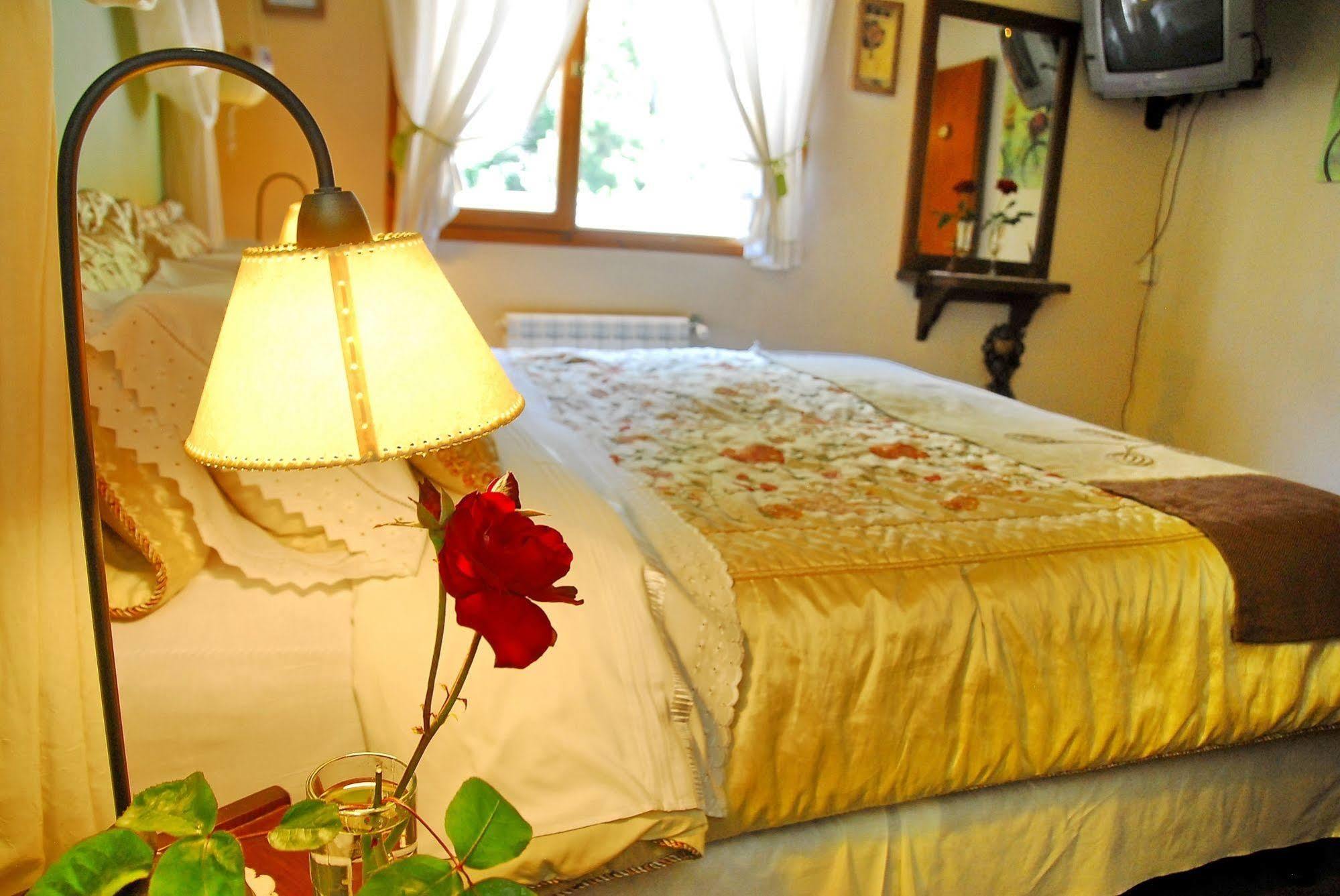 Rotui Apart Hotel Сан-Мартін-де-лос-Андес Екстер'єр фото